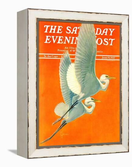 "Flying Storks," Saturday Evening Post Cover, June 19, 1937-Francis Lee Jaques-Framed Premier Image Canvas