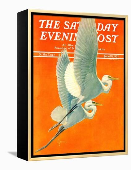 "Flying Storks," Saturday Evening Post Cover, June 19, 1937-Francis Lee Jaques-Framed Premier Image Canvas