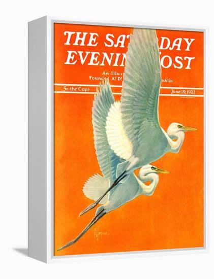 "Flying Storks," Saturday Evening Post Cover, June 19, 1937-Francis Lee Jaques-Framed Premier Image Canvas