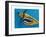 Flying Tiger, 1981-Eileen Agar-Framed Giclee Print