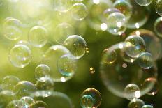 Soap Bubbles Floating in the Air as the Summer Sun Sets-Flynt-Photographic Print