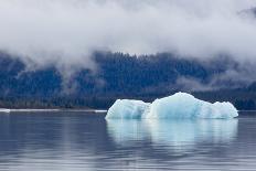 Melting Iceberg in Mendenhall Lake-fmcginn-Framed Premier Image Canvas