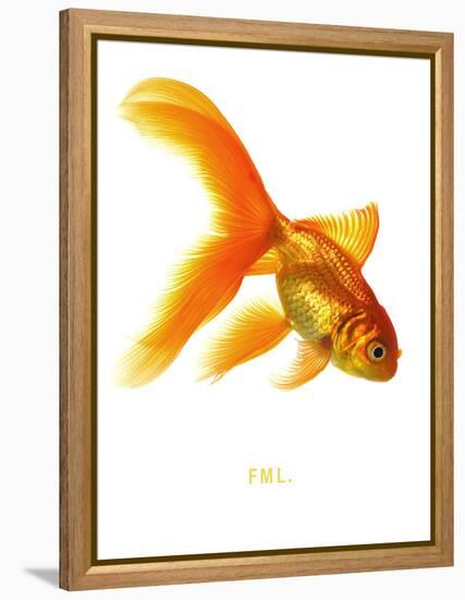 FML-Mark Mawson-Framed Stretched Canvas