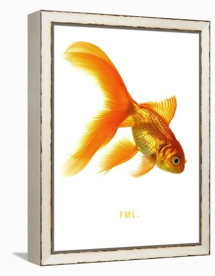FML-Mark Mawson-Framed Stretched Canvas