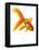 FML-Mark Mawson-Framed Stretched Canvas