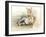 Foal, 2012-Mark Adlington-Framed Giclee Print