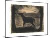 Foal (Le Poulain), 1882-83-Georges Pierre Seurat-Mounted Giclee Print