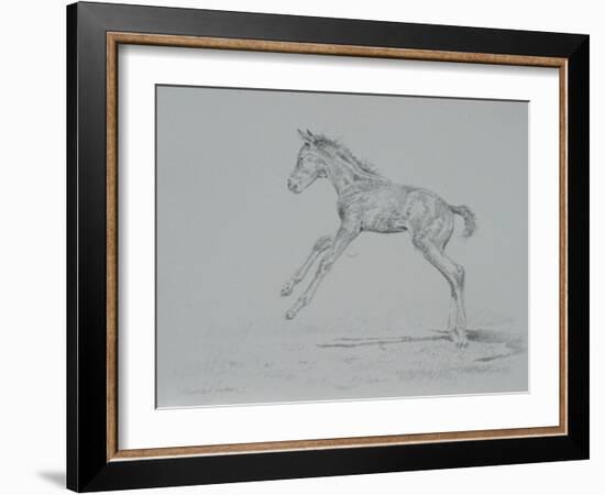 Foal Sketch-Michael Jackson-Framed Giclee Print