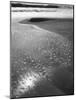 Foam on Sand, Porbandar-null-Mounted Photographic Print