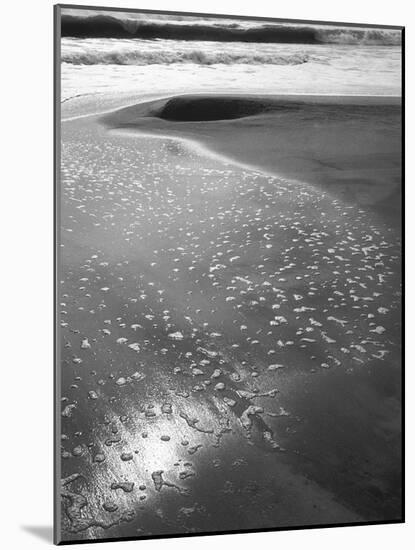 Foam on Sand, Porbandar-null-Mounted Photographic Print