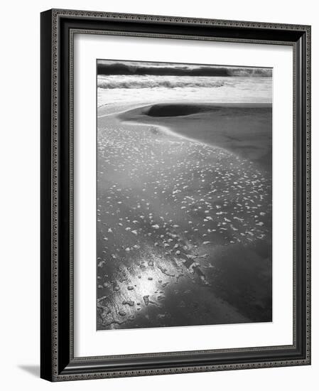 Foam on Sand, Porbandar-null-Framed Photographic Print