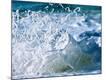 Premium Photographic Print