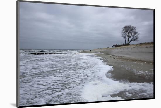 Foaming Surge on the Beach of the Baltic Sea in Front of Ahrenshoop on the Darss Peninsula-Uwe Steffens-Mounted Photographic Print