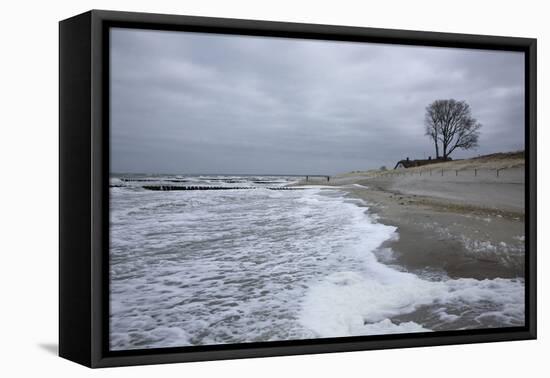 Foaming Surge on the Beach of the Baltic Sea in Front of Ahrenshoop on the Darss Peninsula-Uwe Steffens-Framed Premier Image Canvas