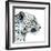 Focus, 2015-Mark Adlington-Framed Premium Giclee Print