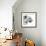 Focus, 2015-Mark Adlington-Framed Giclee Print displayed on a wall