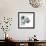 Focus, 2015-Mark Adlington-Framed Giclee Print displayed on a wall