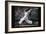 Focus - Baseball-Unknown Unknown-Framed Art Print