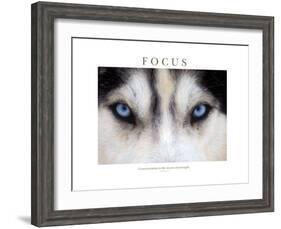 Focus - Concentration Is The Secret Of Strength-Brian Horisk-Framed Photographic Print
