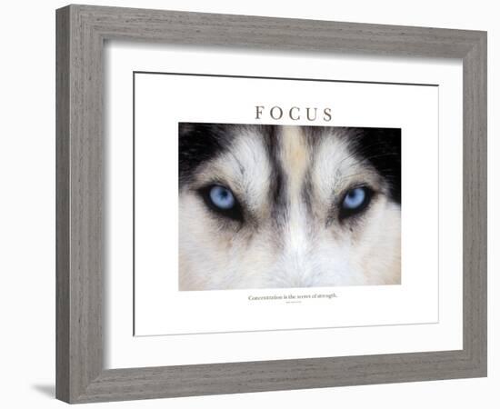 Focus - Concentration Is The Secret Of Strength-Brian Horisk-Framed Photographic Print