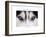 Focus - Concentration Is The Secret Of Strength-Brian Horisk-Framed Photographic Print