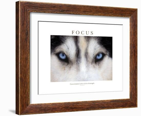 Focus - Concentration Is The Secret Of Strength-Brian Horisk-Framed Photographic Print