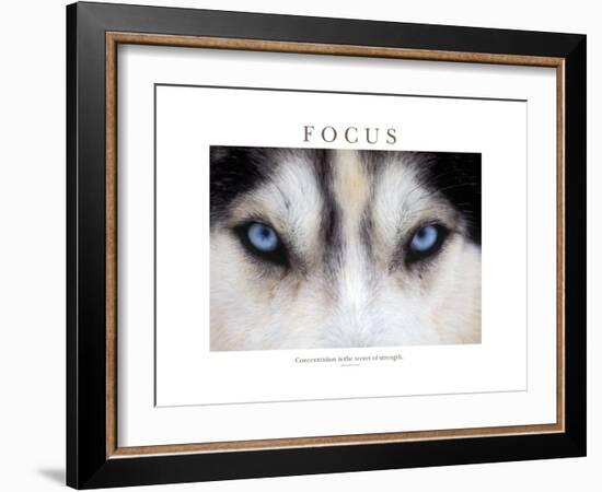 Focus - Concentration Is The Secret Of Strength-Brian Horisk-Framed Photographic Print