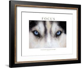 Focus - Concentration Is The Secret Of Strength-Brian Horisk-Framed Photographic Print