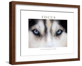 Focus - Concentration Is The Secret Of Strength-Brian Horisk-Framed Photographic Print
