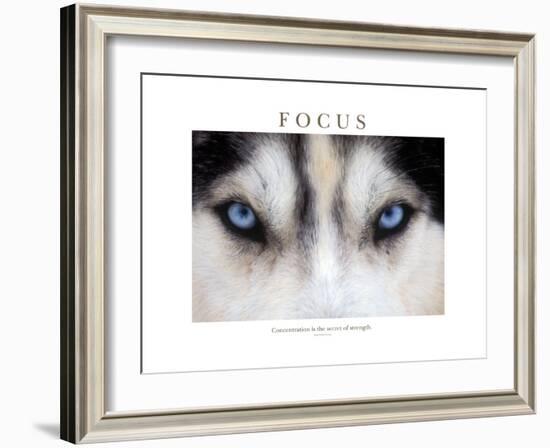 Focus - Concentration Is The Secret Of Strength-Brian Horisk-Framed Photographic Print