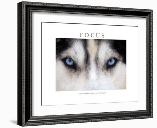 Focus - Concentration Is The Secret Of Strength-Brian Horisk-Framed Photographic Print