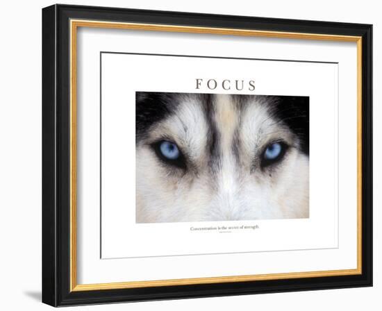 Focus - Concentration Is The Secret Of Strength-Brian Horisk-Framed Photographic Print