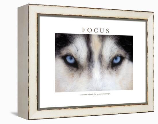 Focus - Concentration Is The Secret Of Strength-Brian Horisk-Framed Premier Image Canvas