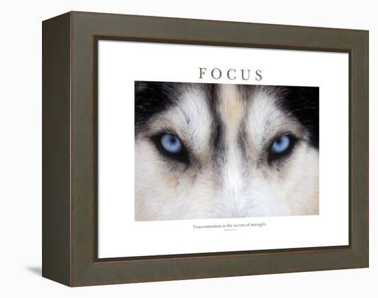 Focus - Concentration Is The Secret Of Strength-Brian Horisk-Framed Premier Image Canvas