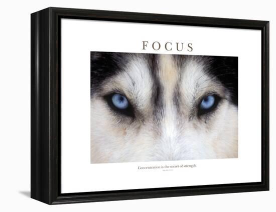 Focus - Concentration Is The Secret Of Strength-Brian Horisk-Framed Premier Image Canvas