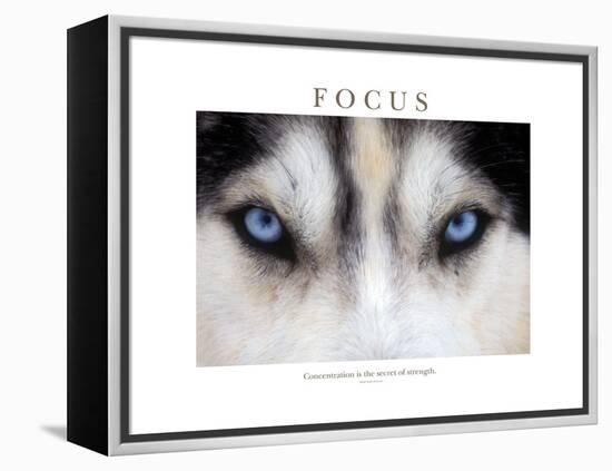 Focus - Concentration Is The Secret Of Strength-Brian Horisk-Framed Premier Image Canvas