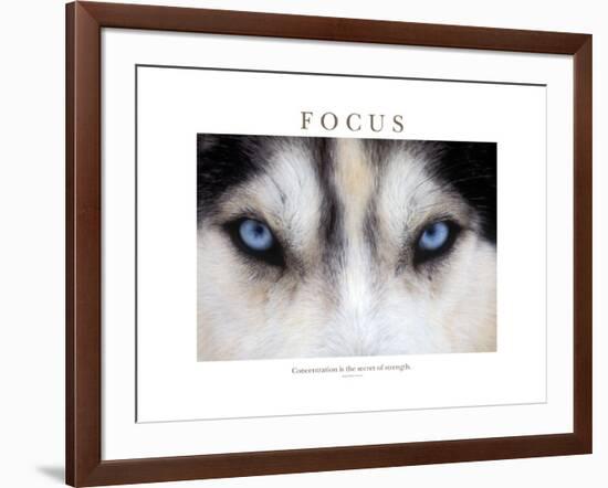 Focus - Concentration Is The Secret Of Strength-Brian Horisk-Framed Premium Photographic Print