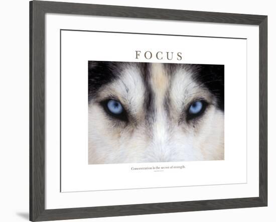 Focus - Concentration Is The Secret Of Strength-Brian Horisk-Framed Premium Photographic Print