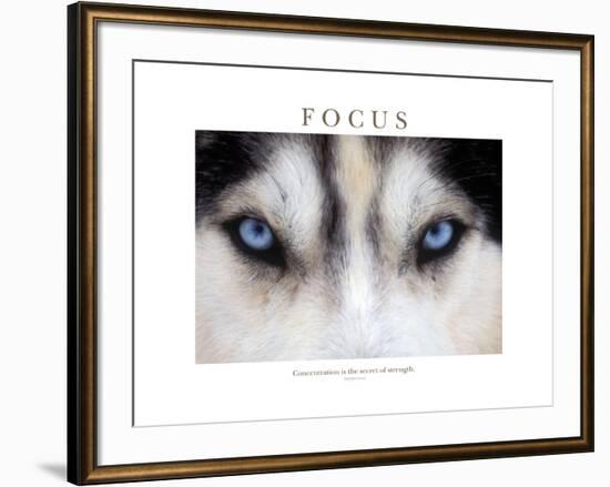 Focus - Concentration Is The Secret Of Strength-Brian Horisk-Framed Premium Photographic Print