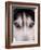 Focus - Husky Eyes-AdventureArt-Framed Photographic Print