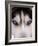 Focus - Husky Eyes-AdventureArt-Framed Photographic Print