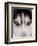 Focus - Husky Eyes-AdventureArt-Framed Photographic Print