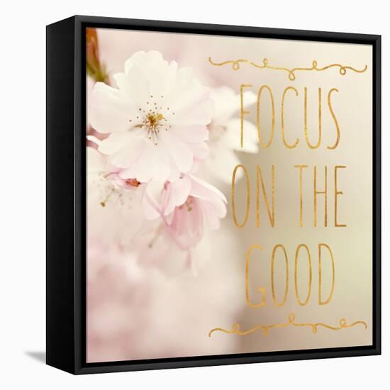 Focus on the Good-Sarah Gardner-Framed Stretched Canvas