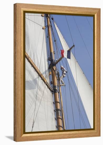 Focused Fleet - Tack-Ben Wood-Framed Stretched Canvas