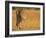 Focused Intensity-Jaco Marx-Framed Photographic Print