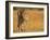 Focused Intensity-Jaco Marx-Framed Photographic Print