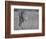 Focused Predator-Jaco Marx-Framed Photographic Print