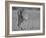 Focused Predator-Jaco Marx-Framed Photographic Print