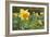 Focusing on Spring-Adrian Campfield-Framed Photographic Print