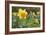 Focusing on Spring-Adrian Campfield-Framed Photographic Print